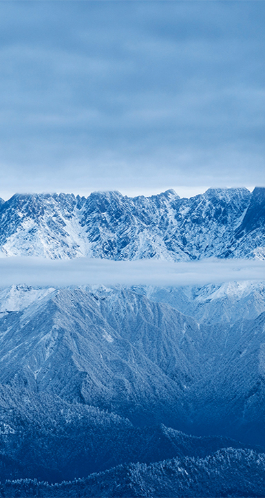 关于NG电子游戏